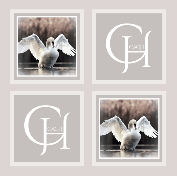 CAGH Swan Luncheon Paper Napkin 25pk