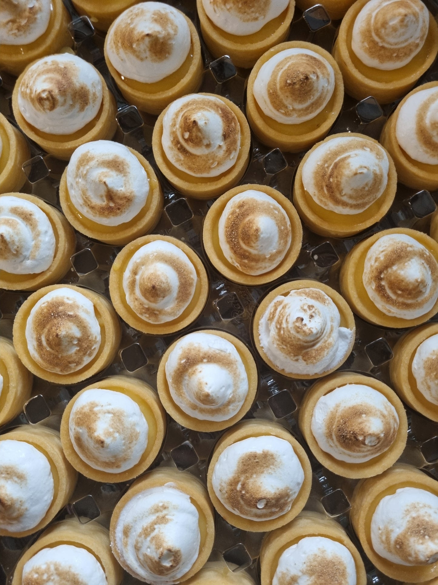 Sweet Mini Round Tart Shells