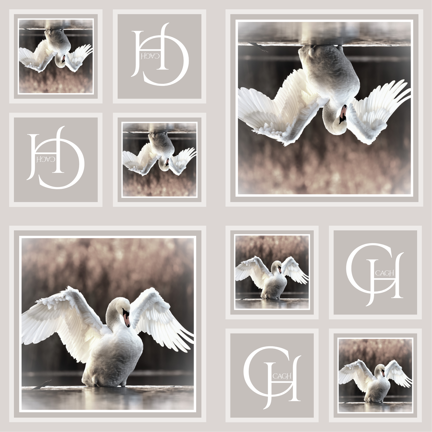 CAGH Swan Luncheon Paper Napkin 25pk